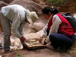 植物都是被誰發(fā)現(xiàn)的？