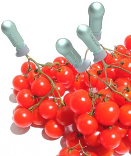 植物說，我們也要喝飲料!