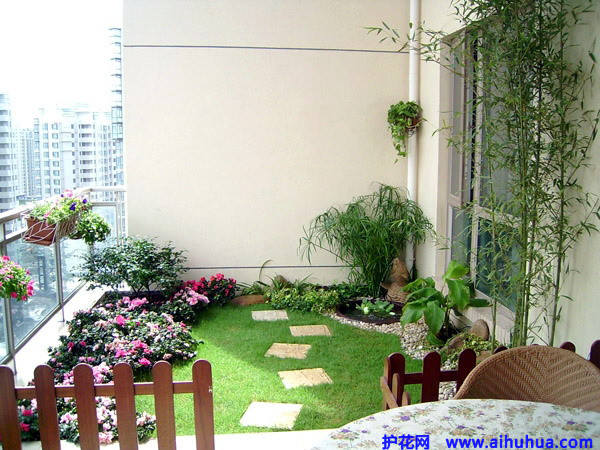 除甲醛，竹炭綠植給力否？