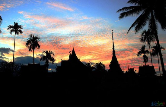 行走筆記：西雙版納（上）- 雨林初體驗