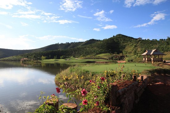 行走筆記：西雙版納（下） - 雨林搜食記